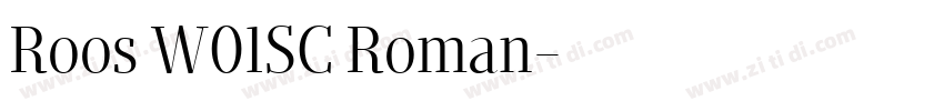 Roos W01SC Roman字体转换